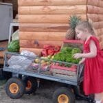 complejo descanso del champaqui