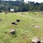 complejo descanso del champaqui