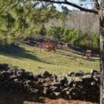 complejo descanso del champaqui