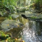 Los Ríos de Villa Yacanto: Aguas Cristalinas y Paisajes Únicos