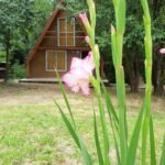 cabaña-alpina-1-complejo-la-aldea (1)