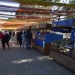 Viñedos y Paseos: Descubre los Sabores de Villa Yacanto