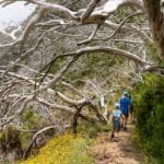 Actividades para Disfrutar Durante Tu Estancia en Villa Yacanto