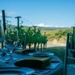 Viñedos y Paseos: Descubre los Sabores de Villa Yacanto