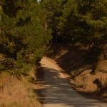 Descubre Villa Yacanto, el Encanto de las Montañas de Córdoba