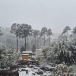 Predio del complejo Brisa Serrana con pinos y rocas cubiertos de nieve
