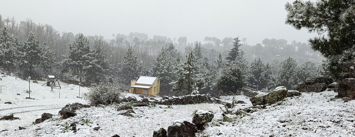 Cabaña Amarilla entre pinos y rocas nevadas en Villa Yacanto