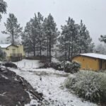 Sendero nevado y la Cabaña Cardenal entre pinos en el complejo Brisa Serrana, Villa Yacanto