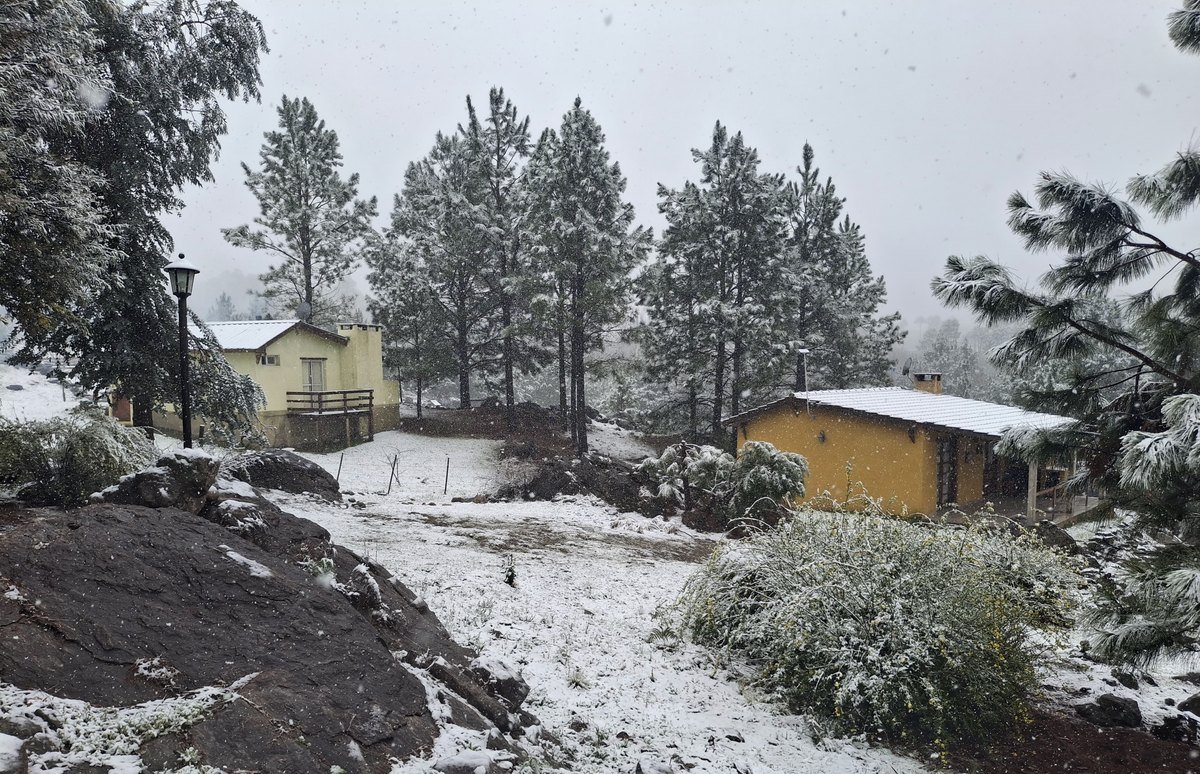 Sendero nevado y la Cabaña Cardenal entre pinos en el complejo Brisa Serrana, Villa Yacanto