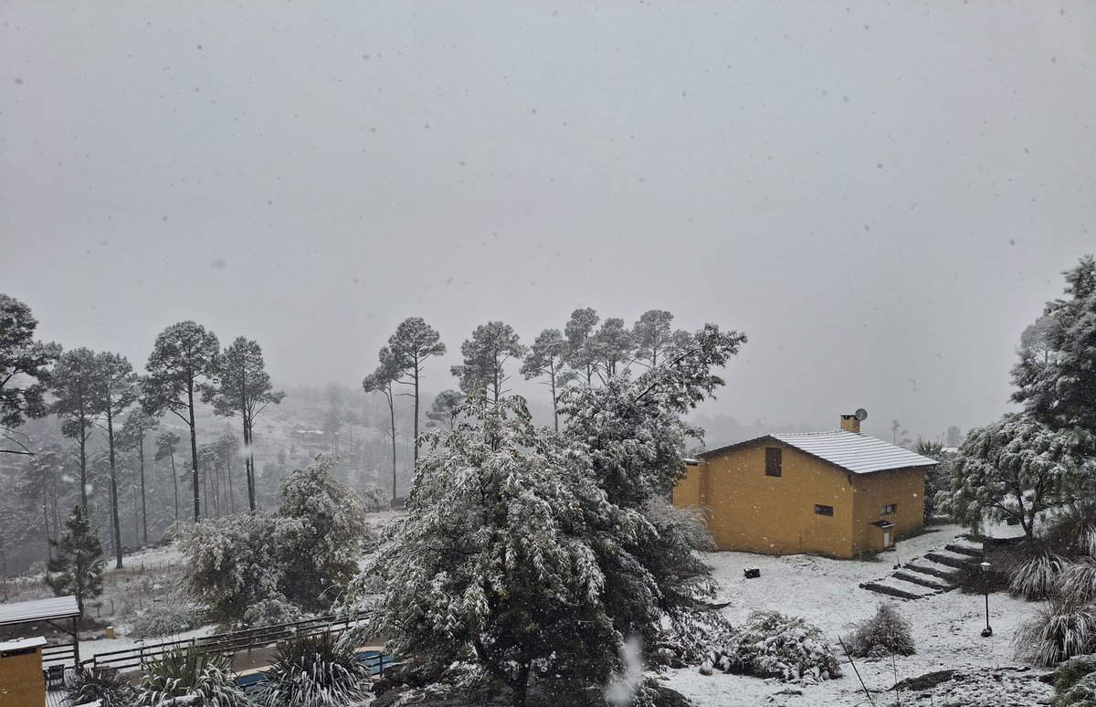 Cabaña Reyna Mora con la escalera y el jardín nevados, complejo Brisa Serrana