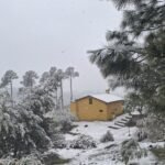 Cabaña Reyna Mora entre pinos cubiertos de nieve en el complejo Brisa Serrana