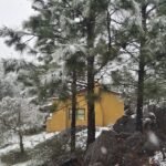 Cabaña Zorzal detrás de pinos nevados en el complejo Brisa Serrana, Villa Yacanto
