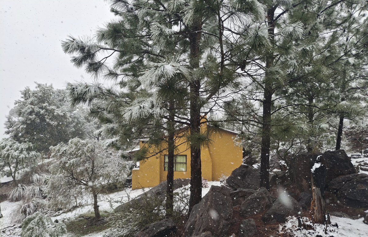 Cabaña Zorzal detrás de pinos nevados en el complejo Brisa Serrana, Villa Yacanto