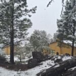 Cabaña Zorzal entre rocas y pinos cubiertos de nieve, complejo Brisa Serrana