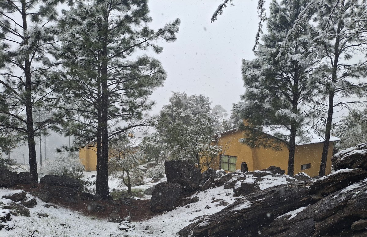 Cabaña Zorzal entre rocas y pinos cubiertos de nieve, complejo Brisa Serrana