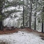 Mesa de picnic bajo los pinos nevados en el complejo Descanso del Champaquí