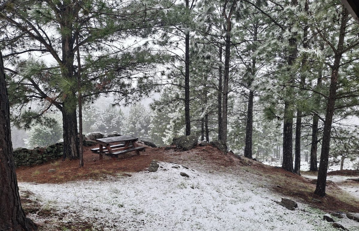 Mesa de picnic bajo los pinos nevados en el complejo Descanso del Champaquí