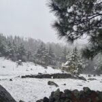 Paisaje de sierras y pinos nevados desde el complejo Descanso del Champaquí