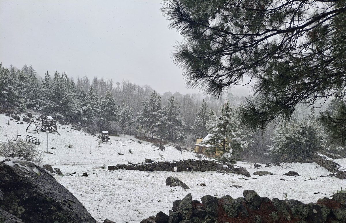 Paisaje de sierras y pinos nevados desde el complejo Descanso del Champaquí